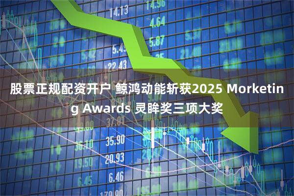 股票正规配资开户 鲸鸿动能斩获2025 Morketing Awards 灵眸奖三项大奖
